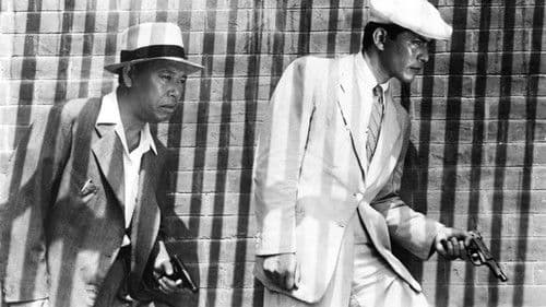 Ein streunender Hund Bild 3