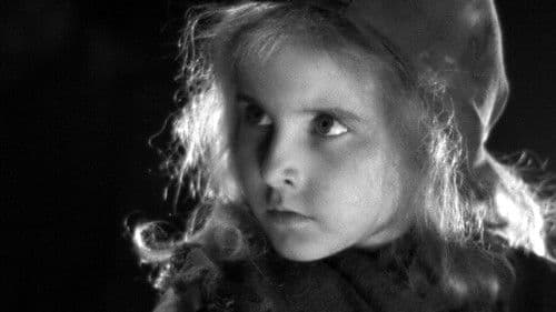 Die Verdammten Bild 4