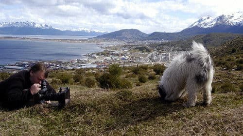 Gordos Reise ans Ende der Welt Bild 1