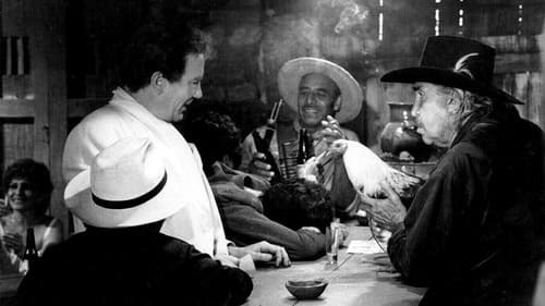 Unter dem Vulkan Bild 4