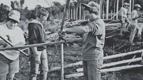 O Sonho de Rose: 10 Anos Depois Bild 1