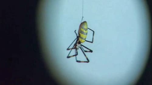 看護婦日記 獣じみた午後 Bild 8