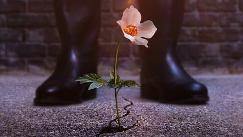 The Man in the High Castle Bild 1