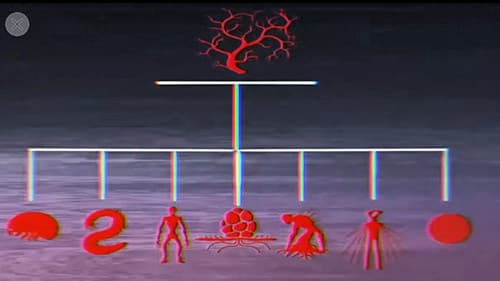 Vita Carnis - Living Meat Documentary Bild 1