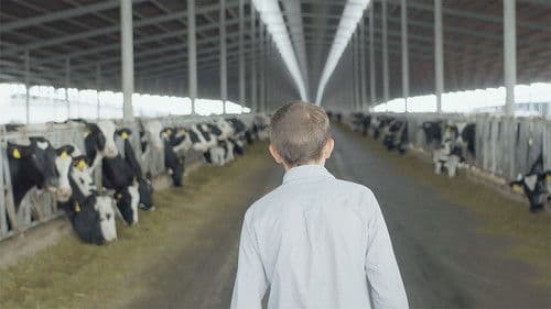 La luz que llena al mundo Bild 3