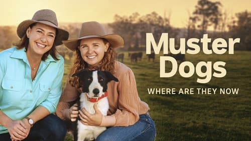 Muster Dogs: Where Are They Now Bild 2