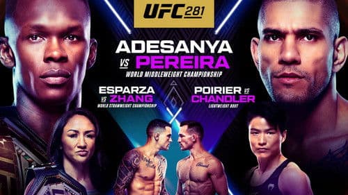 UFC 281: Adesanya vs. Pereira Bild 3