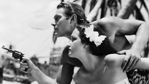 … dann kam der Orkan Bild 2