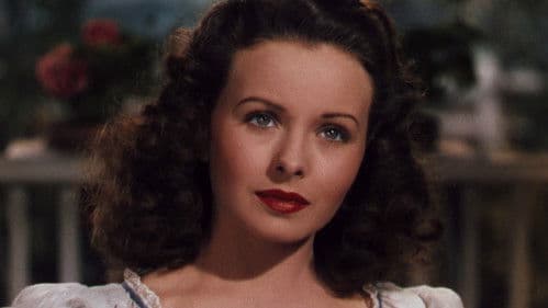 Jahrmarkt der Liebe Bild 2