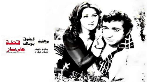 قطة على نار Bild 2