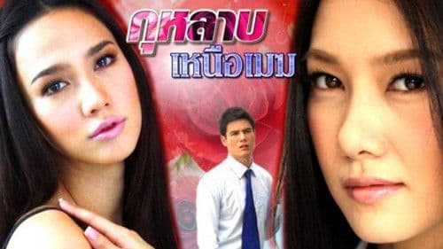 กุหลาบเหนือเมฆ Bild 1