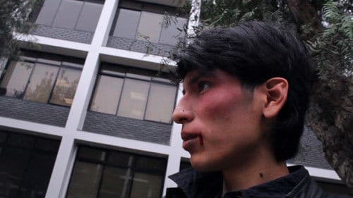 I'm Only a Stranger Bild 1