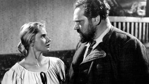 Rosen blühen auf dem Heidegrab Bild 3