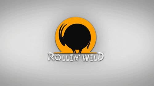 Rollin' Wild Bild 5