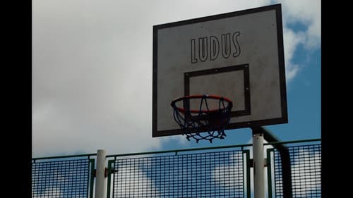 Romy on the Line Bild 2