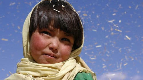 بودا از شرم فرو ریخت Bild 1