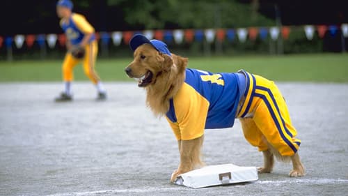 Air Bud 4 - Mit Baseball bellt sich's besser Bild 2