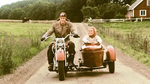 Der einfältige Mörder Bild 4