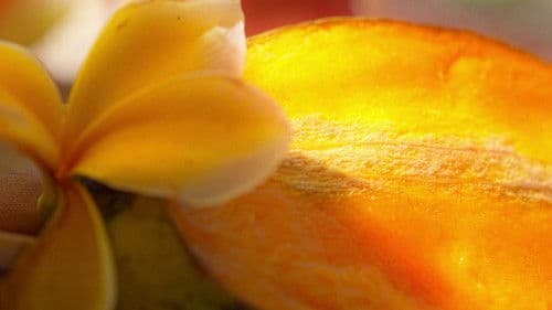 JuiZy Journey Bild 5