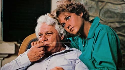 Fuscão Preto Bild 3