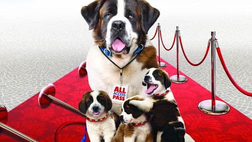 Beethovens großer Durchbruch Bild 2