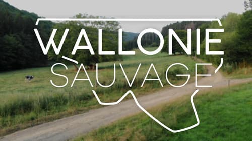 Wallonie sauvage Bild 1