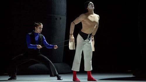 Bolshoi Ballet: Carmen Suite / Petrushka Bild 2