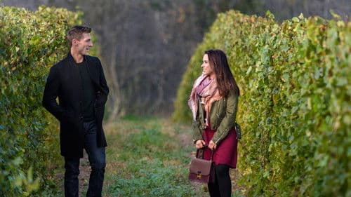 Im Zweifel für die Liebe Bild 3