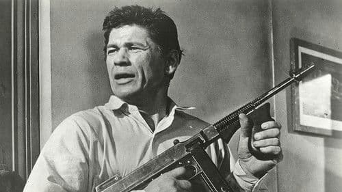 Revolver-Kelly Bild 2