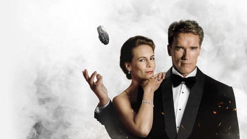 True Lies - Wahre Lügen Bild 2