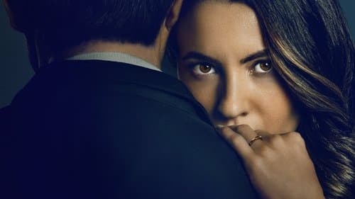 Die schwarze Witwe Bild 1