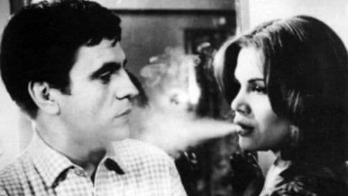 Pajarito Gómez, una vida feliz Bild 1