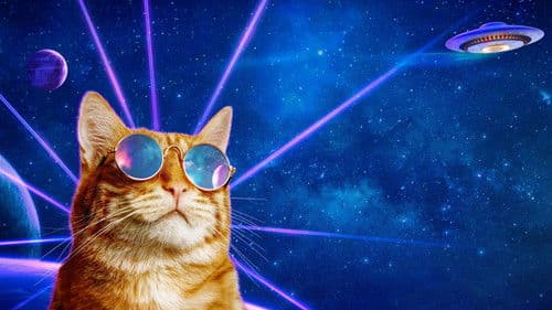 World's Funniest Animals Bild 2