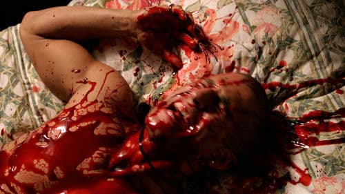 Witches of the Caribbean Bild 3