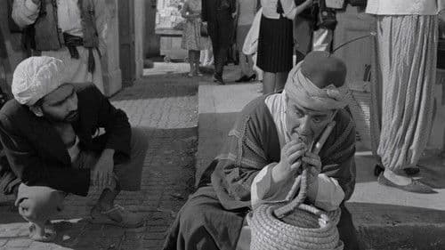 Ist ja irre - Agenten auf dem Pulverfaß Bild 6