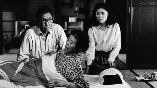 Schwarzer Regen Bild 8