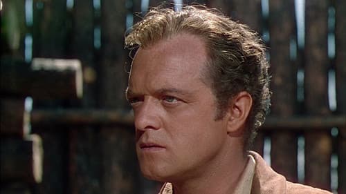 Tomahawk - Aufstand der Sioux Bild 1