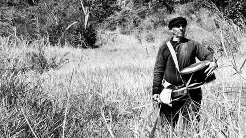 Guerra do Paraguay Bild 1