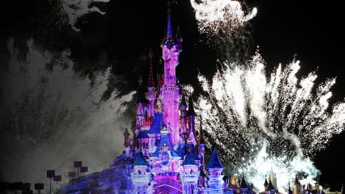25e Anniversaire : Disney Illuminations Bild 2