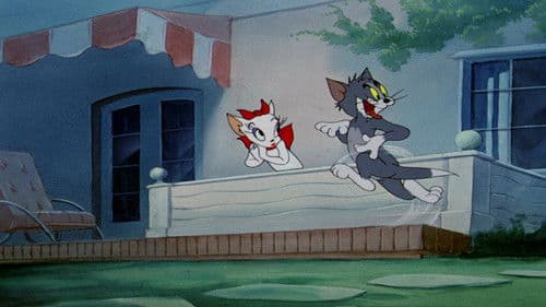 Tom als Troubadour Bild 6