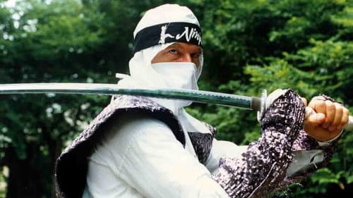 The Ninja Showdown Bild 2