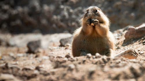 Wildes Mexiko Bild 4