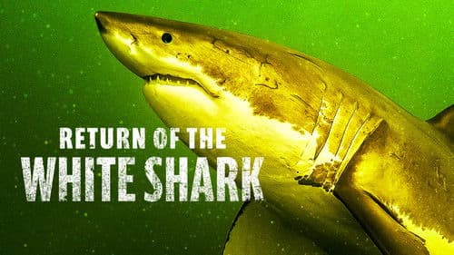 Die Rückkehr der Weißen Haie Bild 3