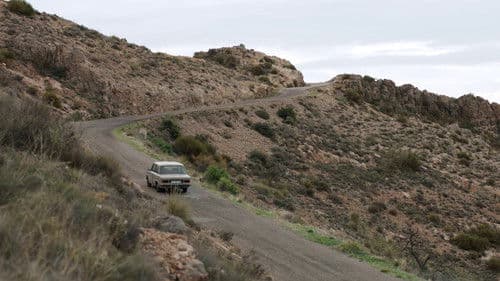 Bajo la palmera Bild 1