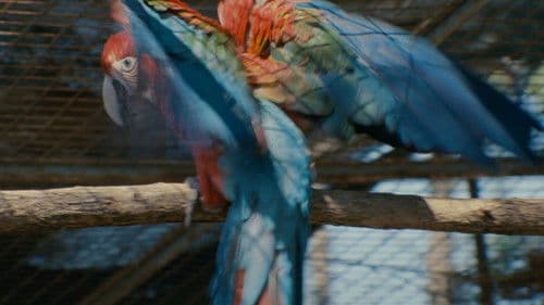 Monólogo colectivo Bild 5