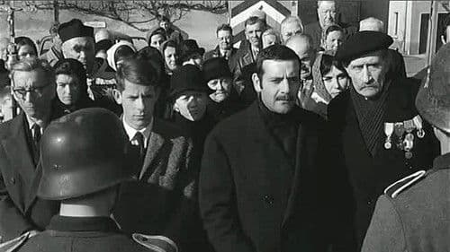 Die Demarkationslinie Bild 1