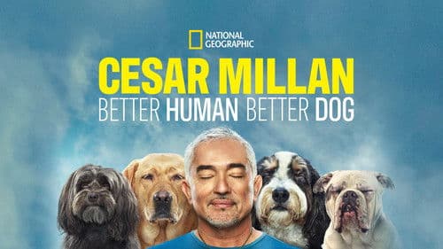 Cesar Millan: Guter Mensch guter Hund Bild 7