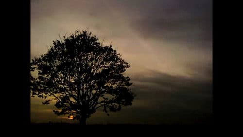 ნეტავ აღარასდროს მოვიდეს ზაფხული Bild 4