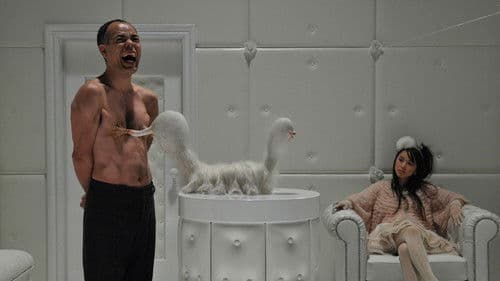 Funky Forest - The First Contact Bild 3