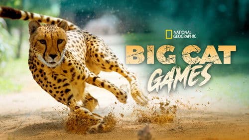 Big Cat Games Bild 3